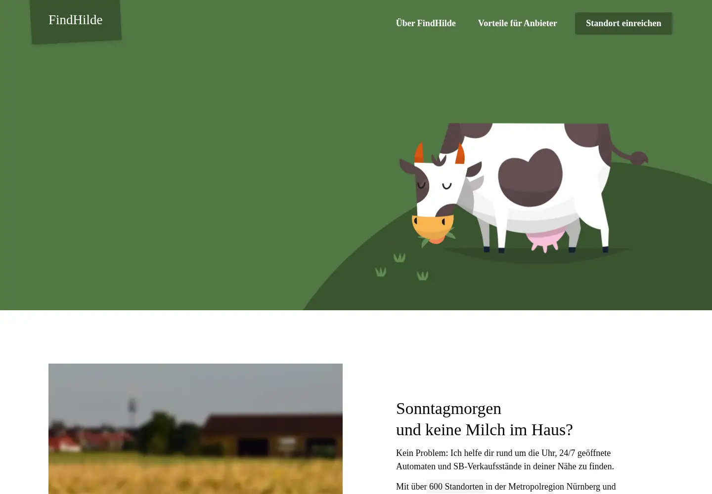Captured homepage of findhilde.de in the current scan