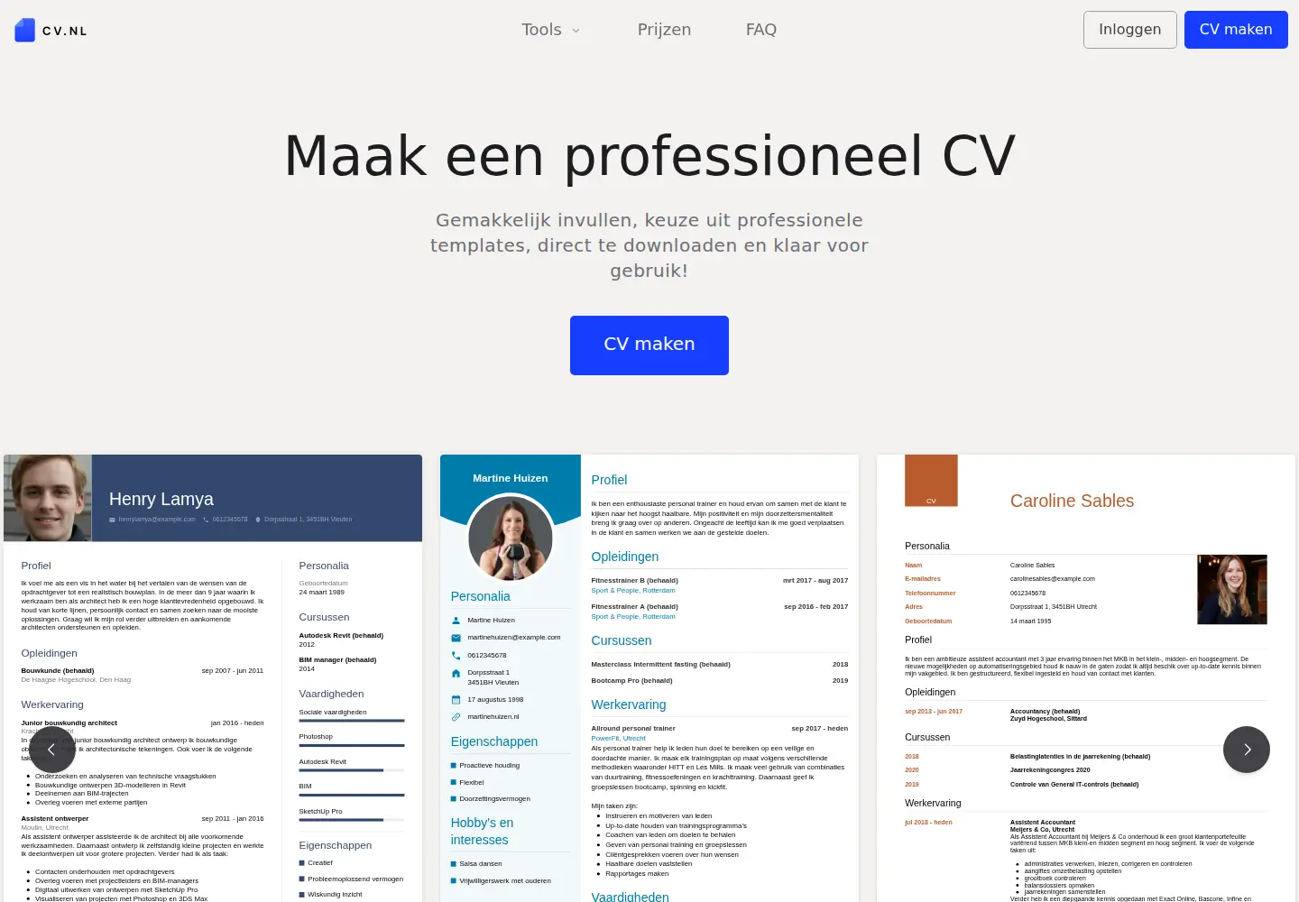 Screenshot of cv.nl
