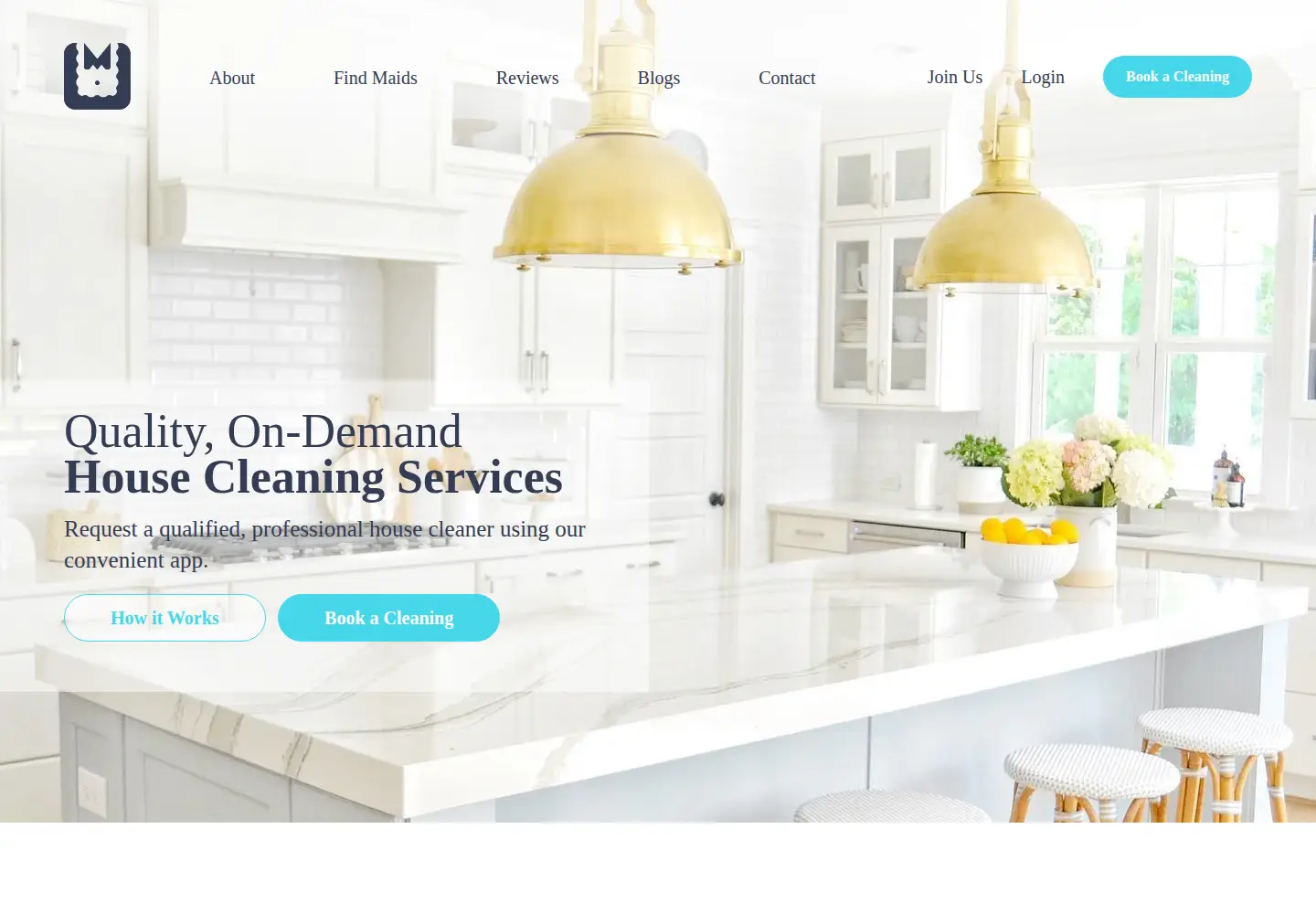Screenshot of maidsapp.com