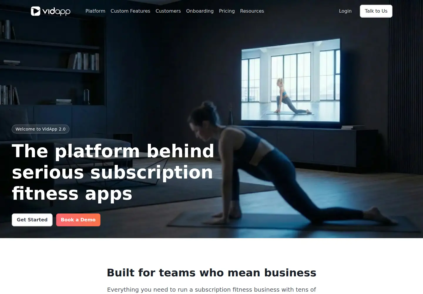 Screenshot of vidapp.com