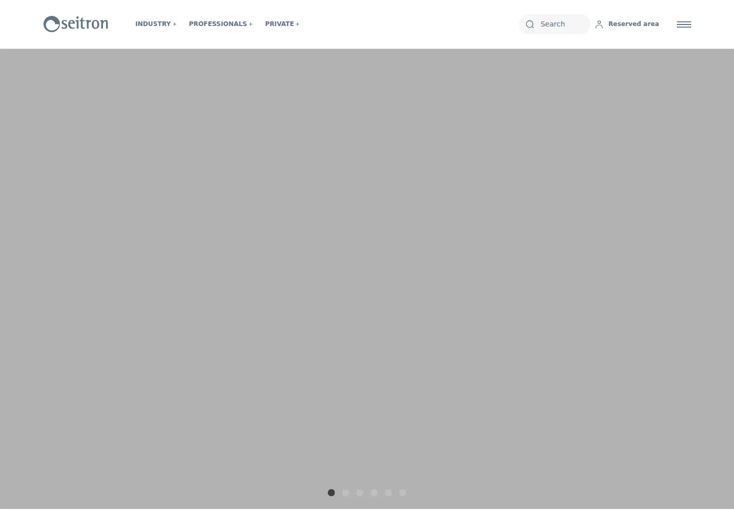 Captured homepage of seitron.com in the current scan