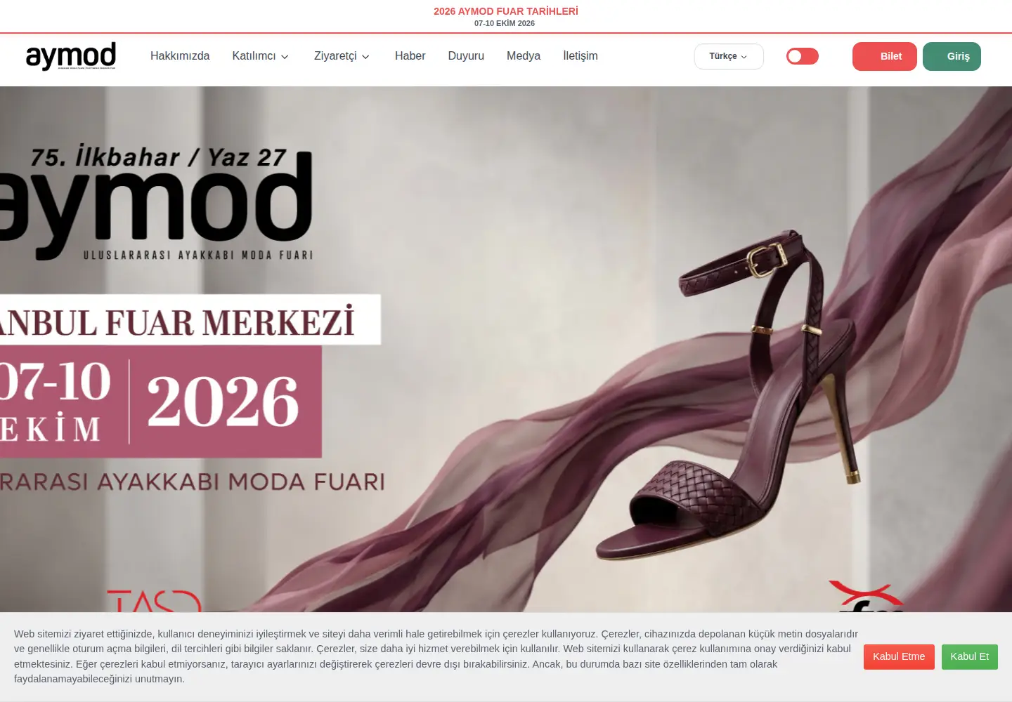 Captured homepage of aymod.com in the current scan