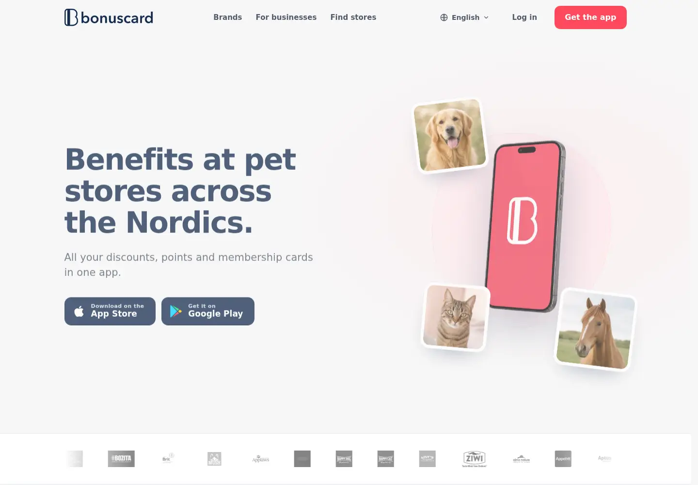 Captured homepage of bonuscard.com in the current scan