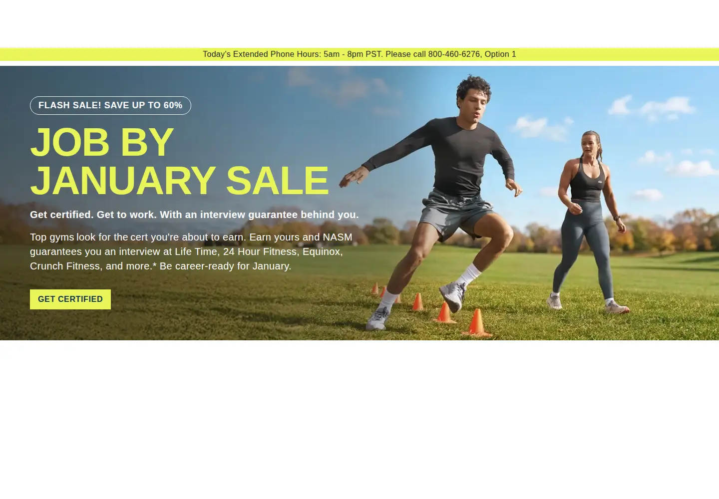 Screenshot of nasm.org