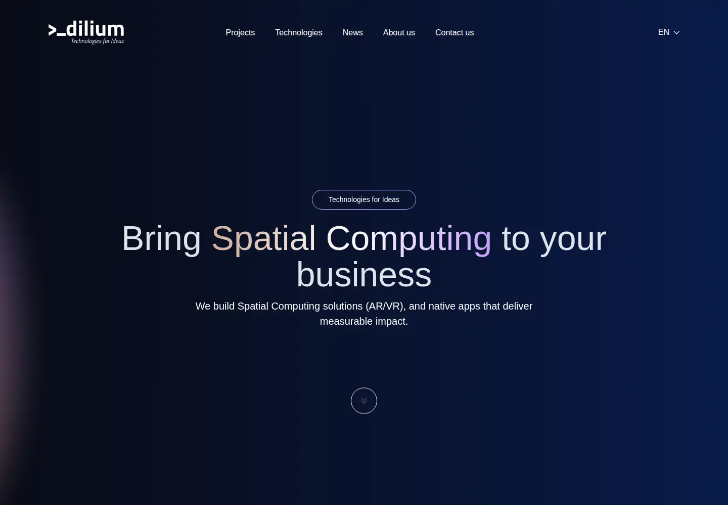 Captured homepage of dilium.com in the current scan