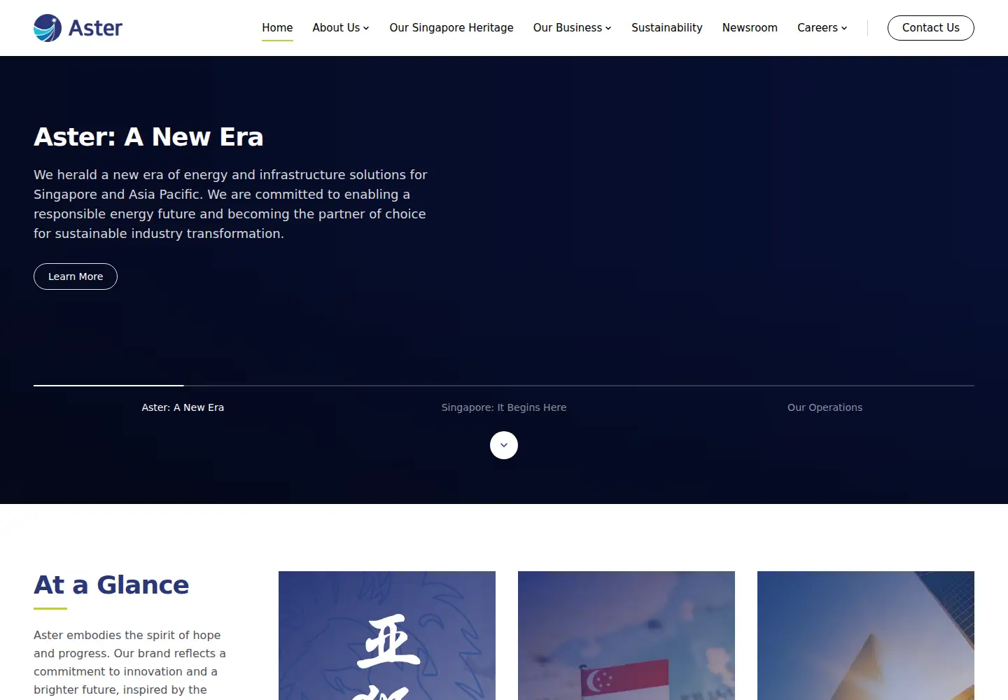 Captured homepage of aster.com.sg in the current scan