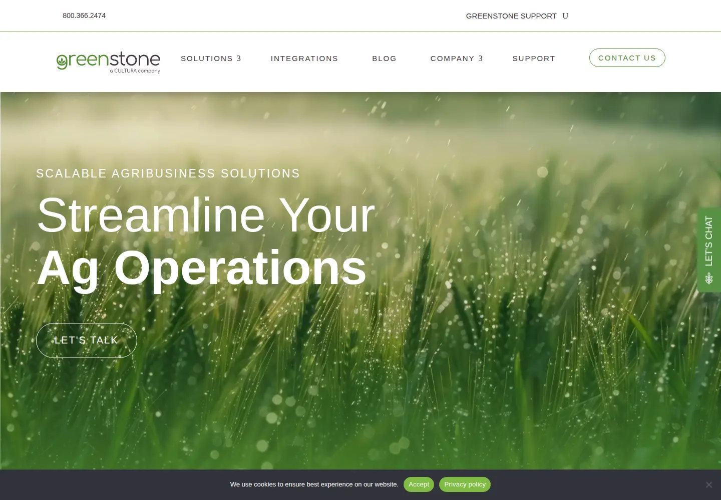 Captured homepage of greenstonesystems.com in the current scan