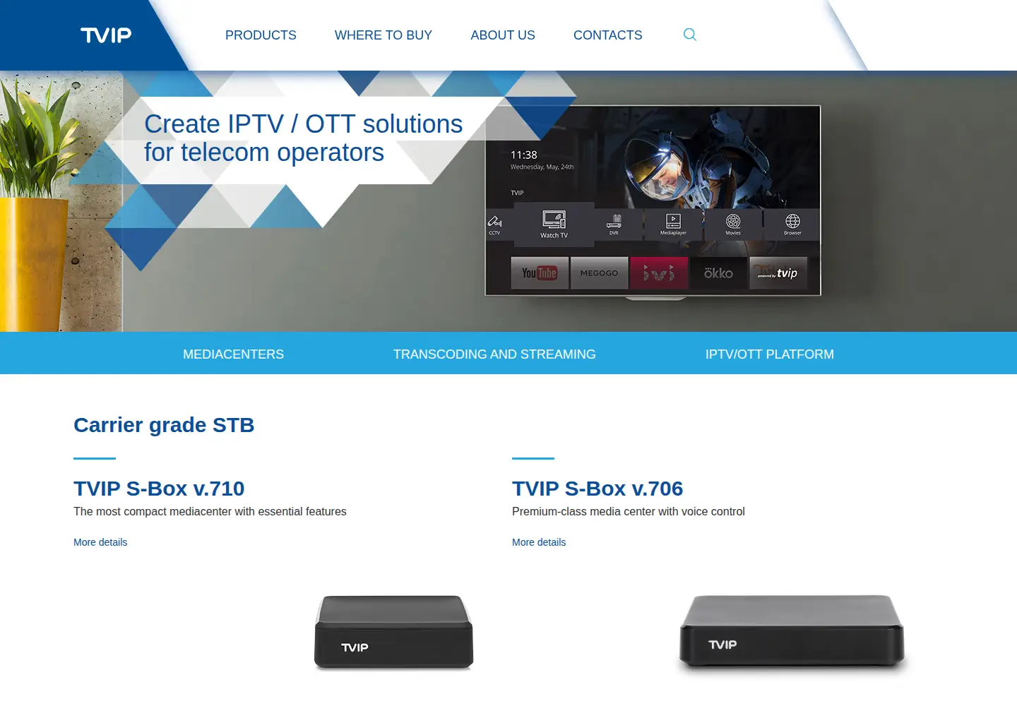 Captured homepage of tvip.ru in the current scan