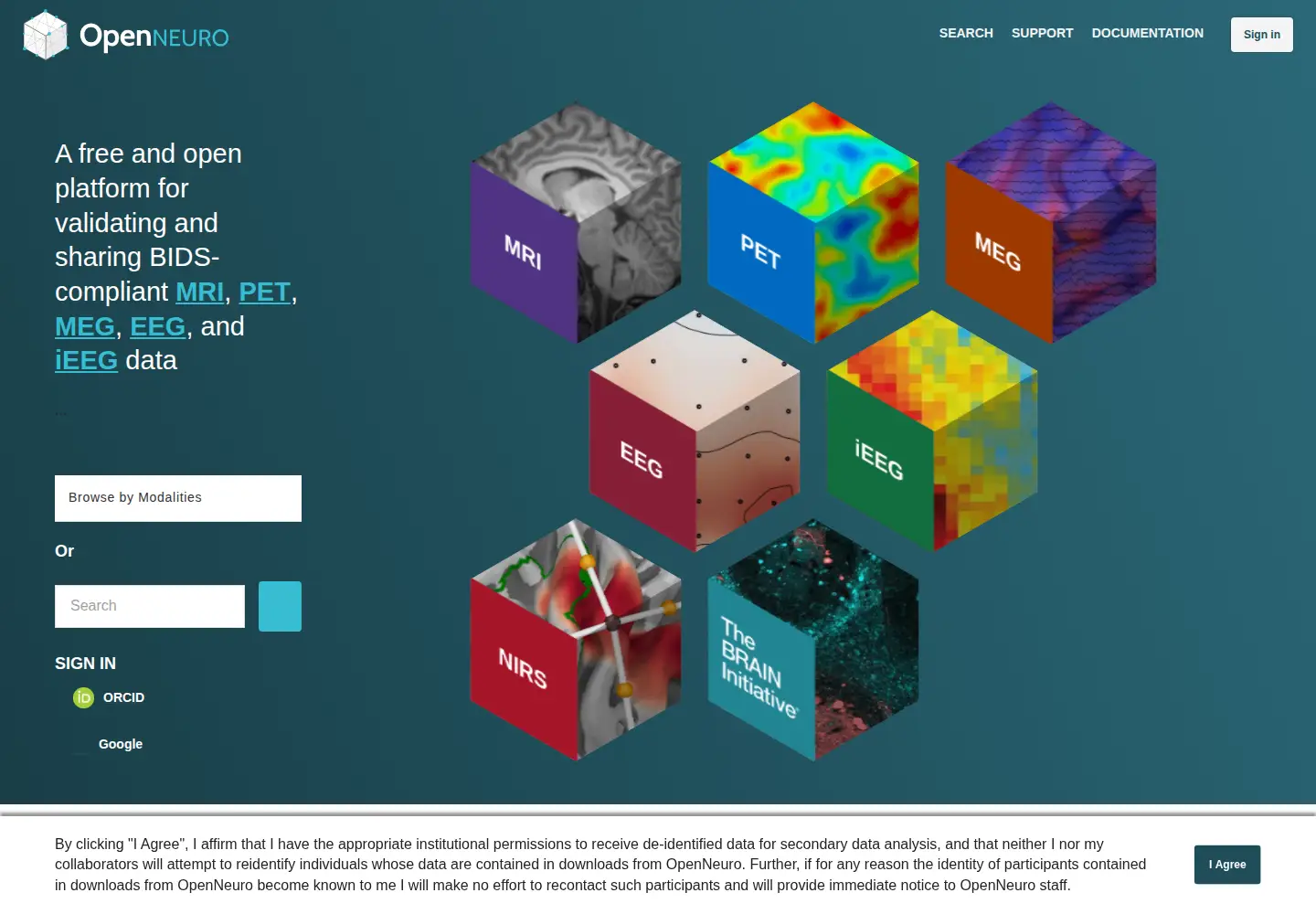 Screenshot of openneuro.org