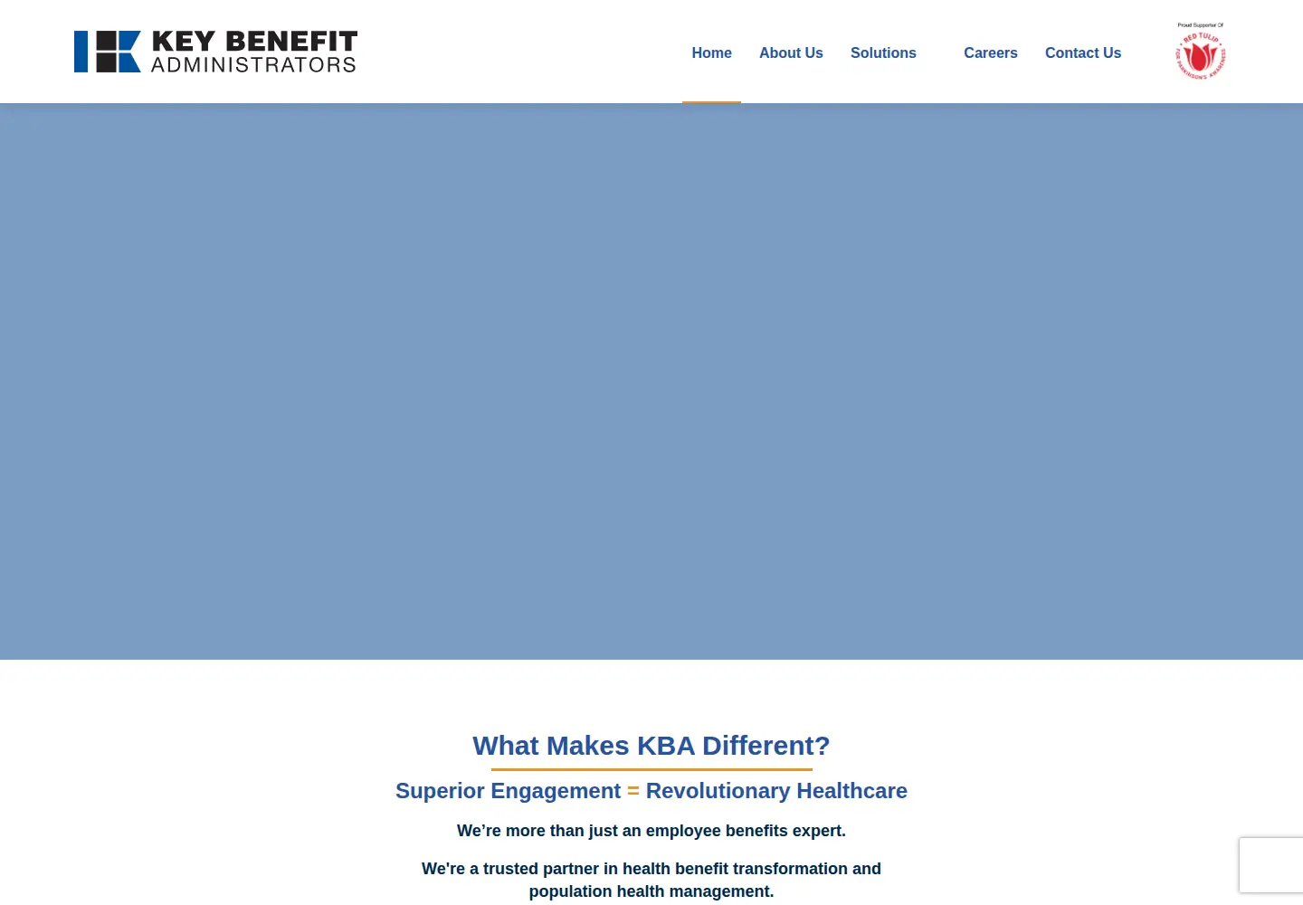 Captured homepage of keybenefit.com in the current scan