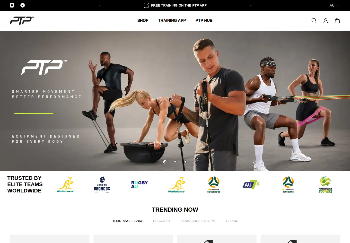 Captured homepage of ptpfit.com in the current scan