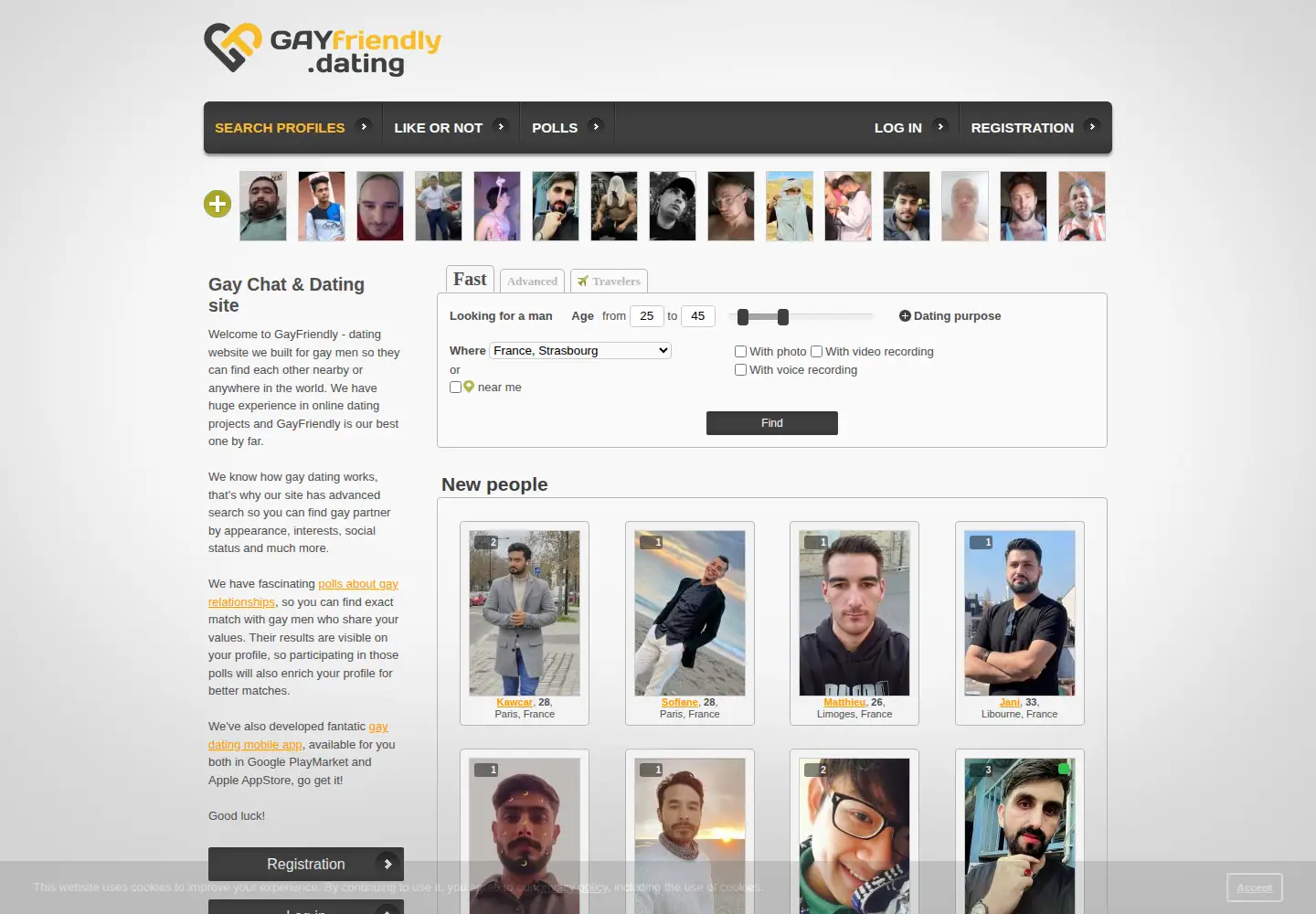 Captured homepage of gayfriendly.dating in the current scan