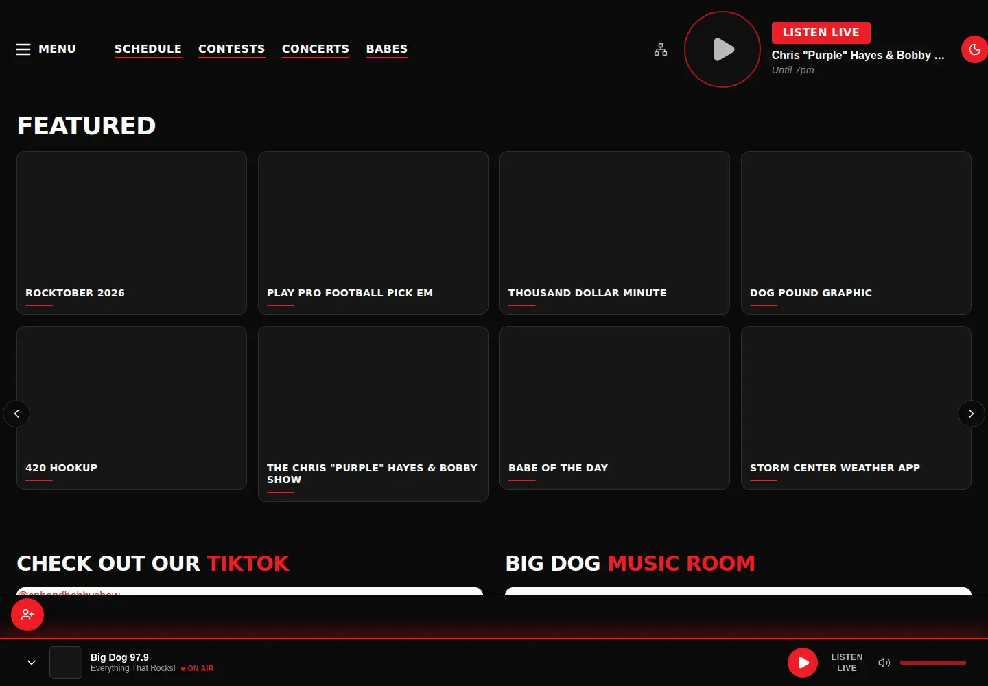 Screenshot of bigdog979.com