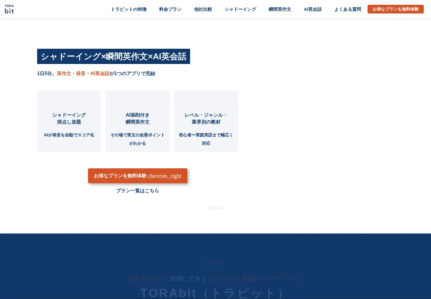 Screenshot of torabit.net