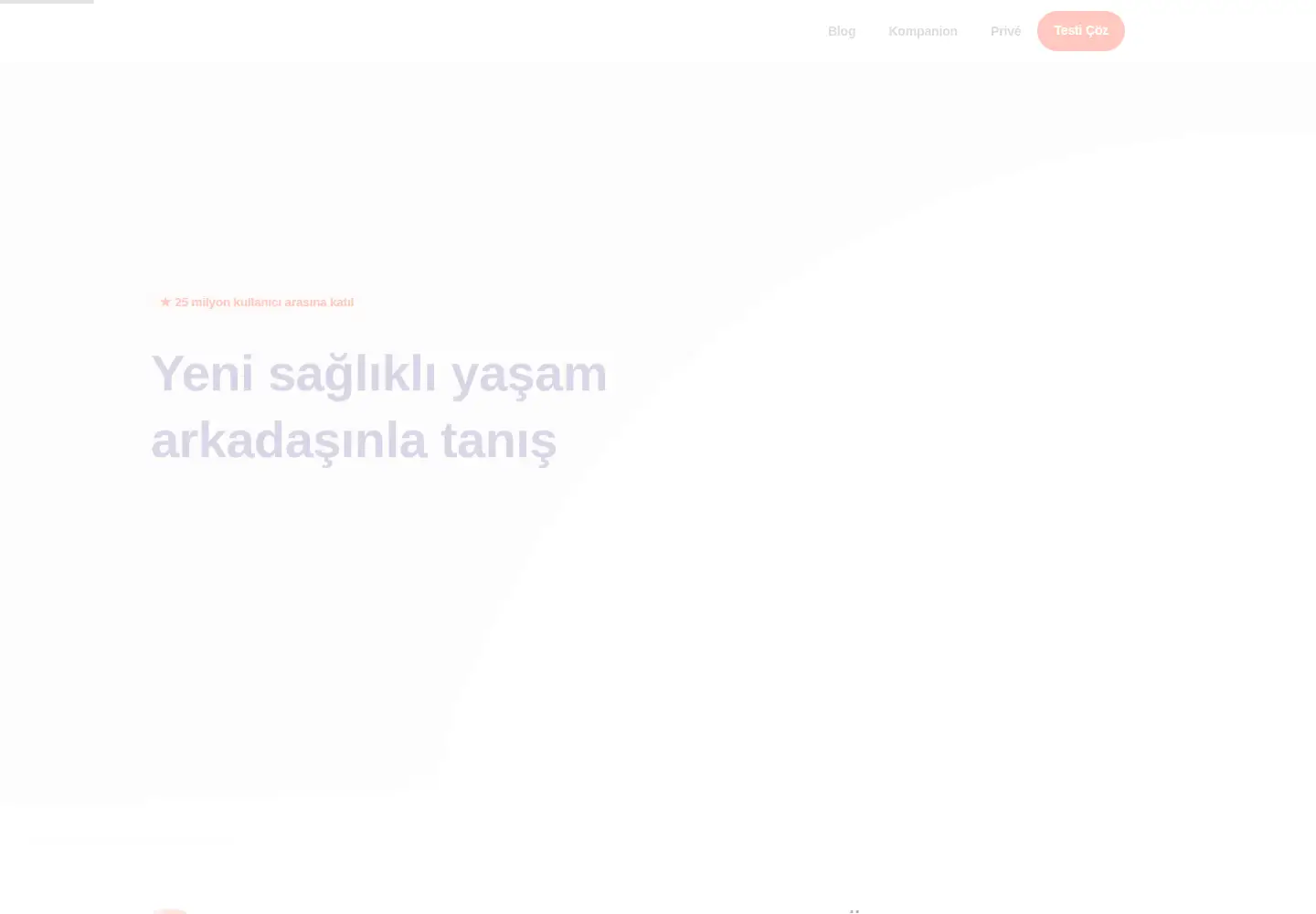 Screenshot of kompanionapp.com