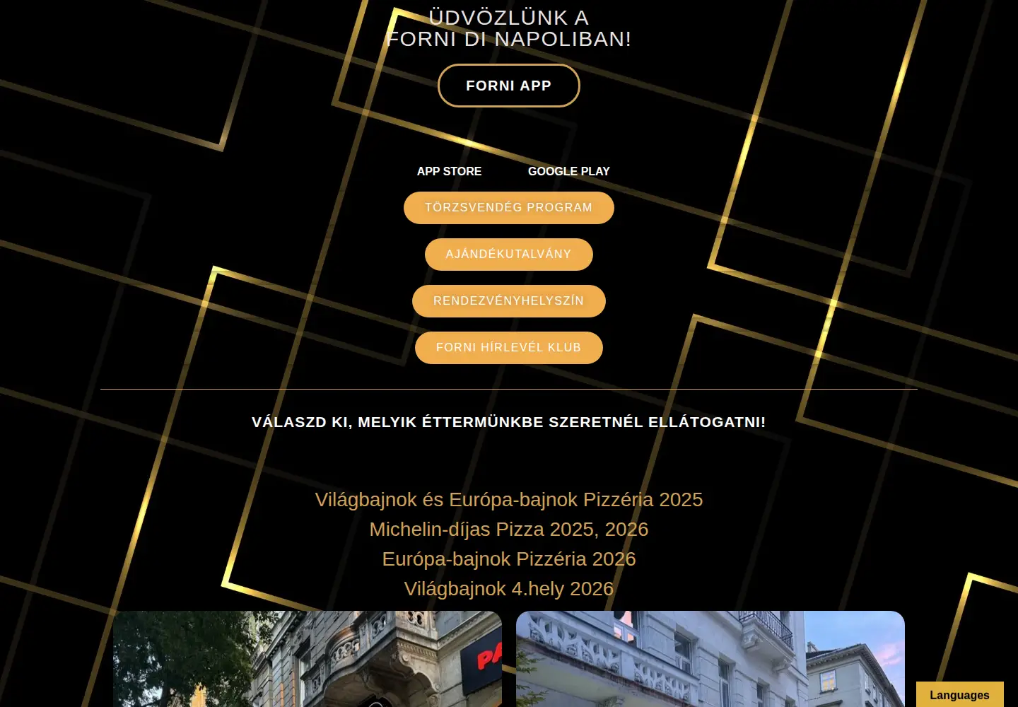Captured homepage of fornidinapoli.hu in the current scan