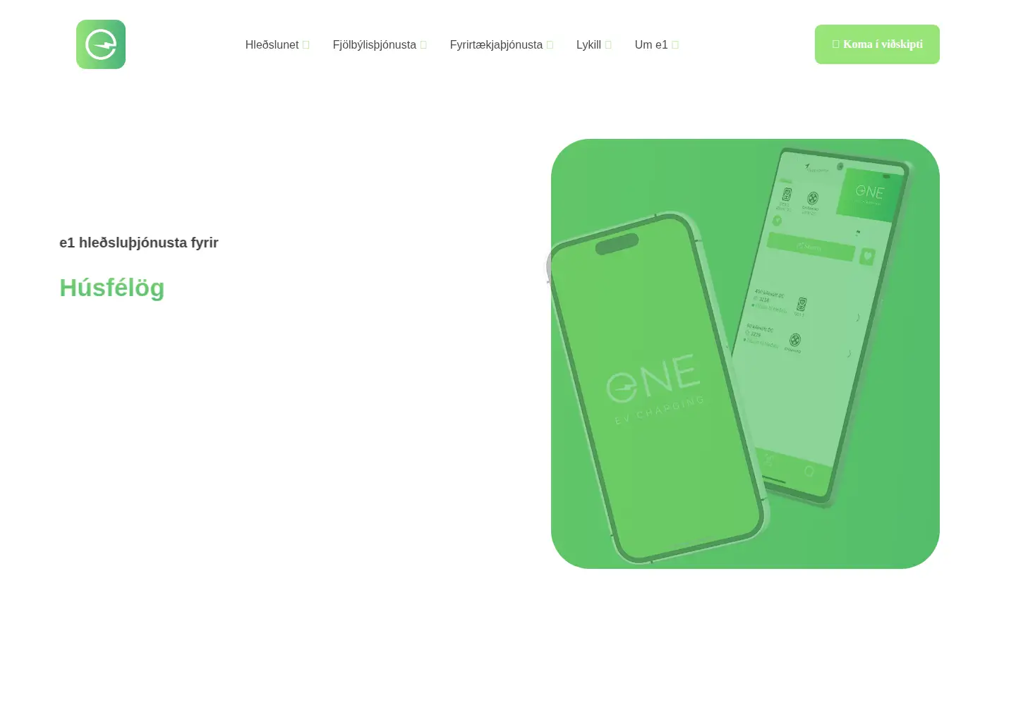 Captured homepage of e1.is in the current scan