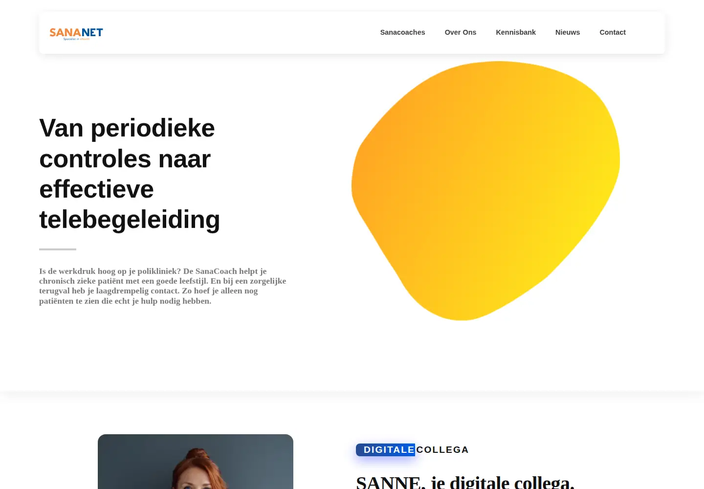 Captured homepage of sananet.nl in the current scan