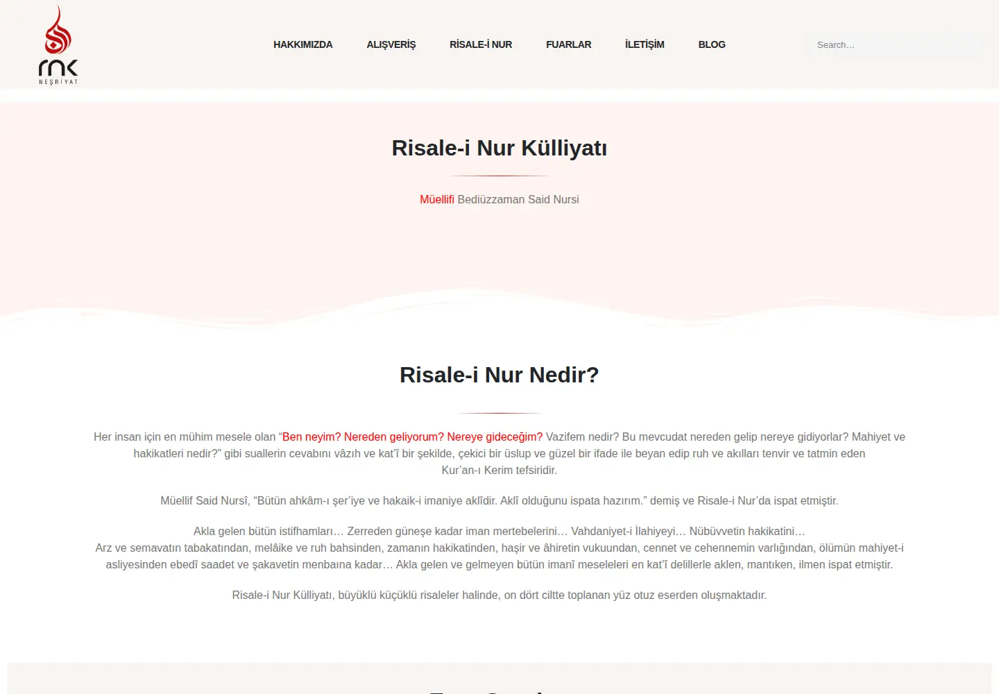 Screenshot of rnk.com.tr