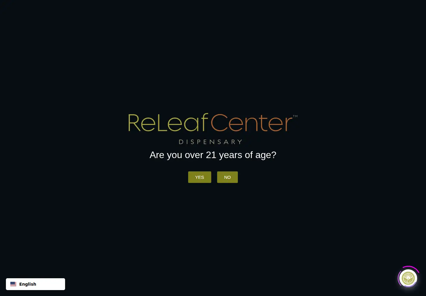 Screenshot of releafcenternwa.com