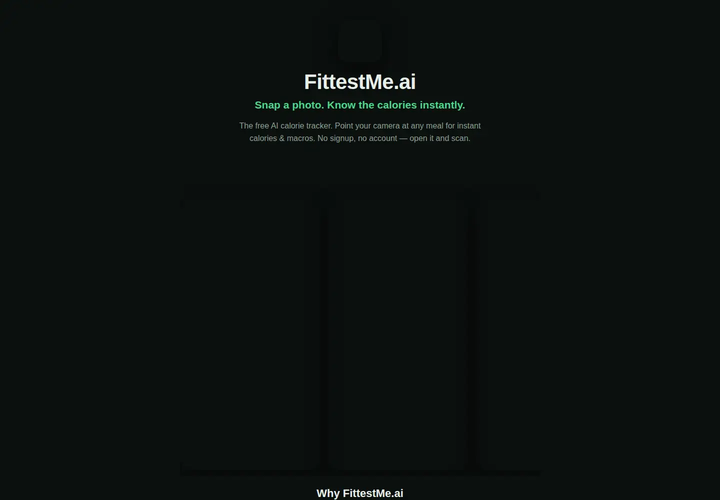 Captured homepage of fittestme.ai in the current scan