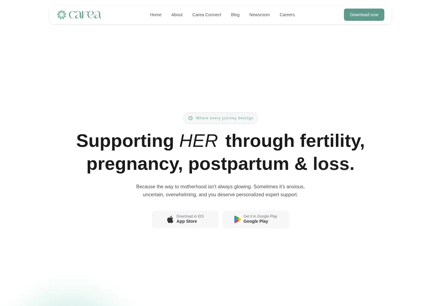 Captured homepage of careaapp.com in the current scan