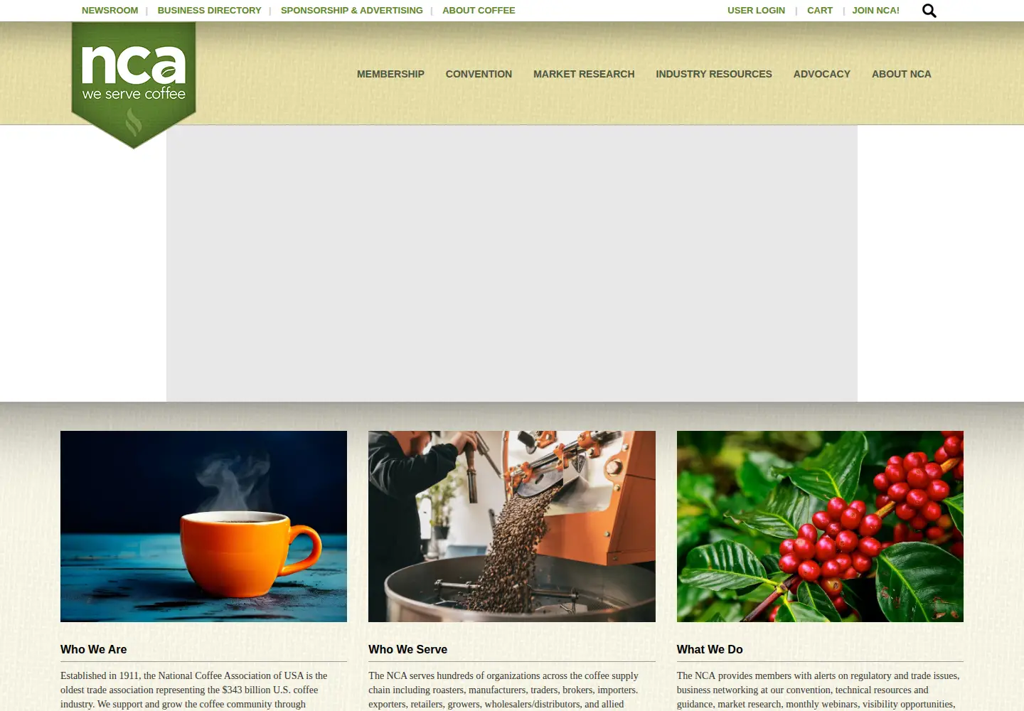 Screenshot of ncausa.org