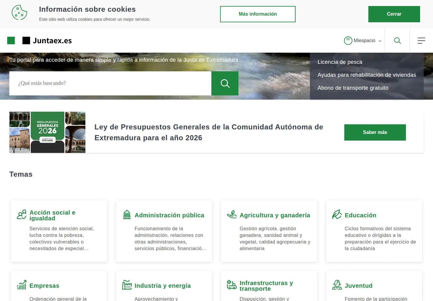 Screenshot of juntaex.es