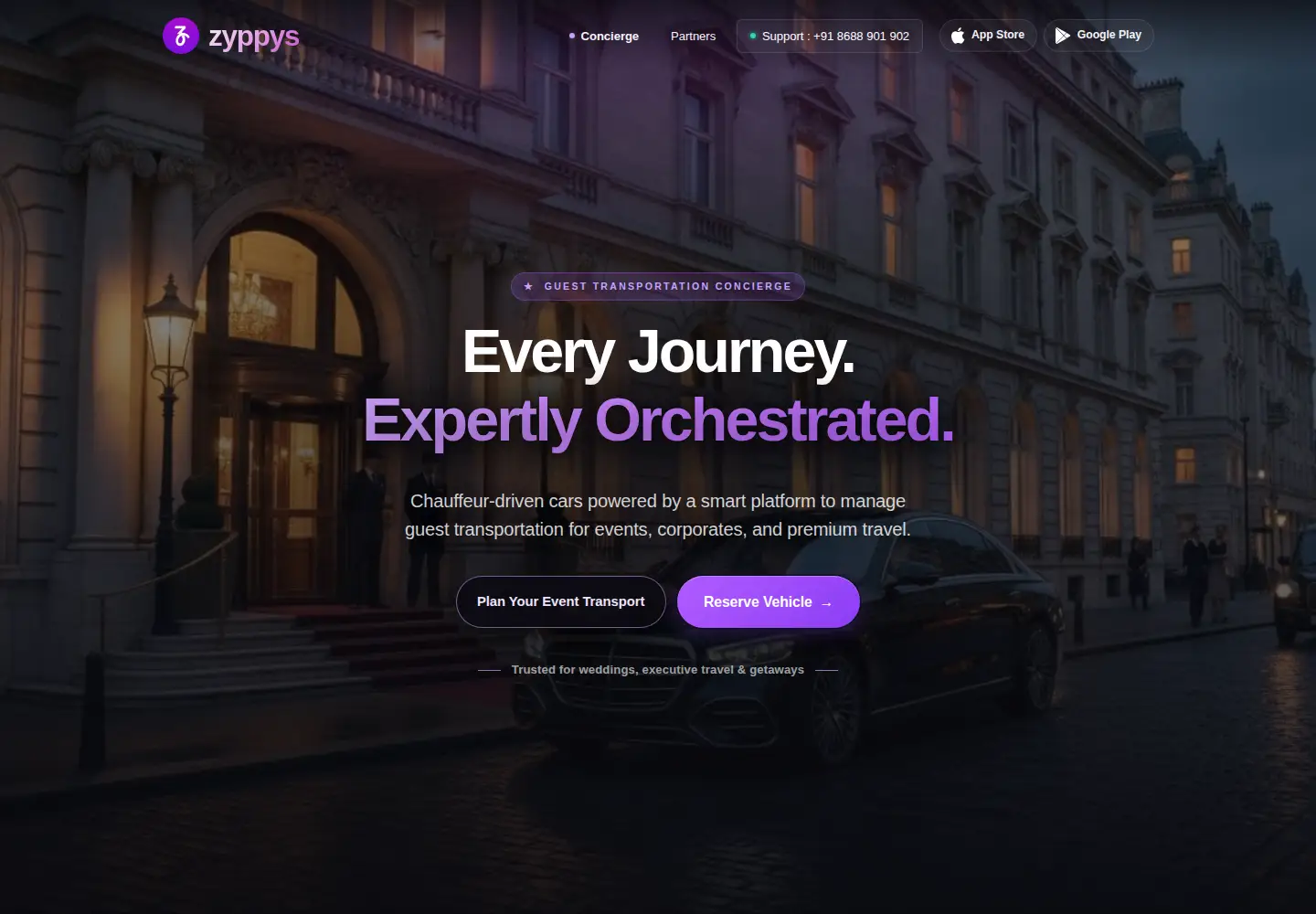 Screenshot of zyppys.com
