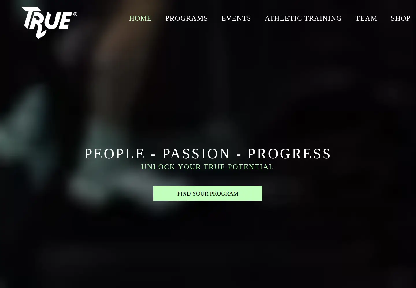 Captured homepage of truetraining.ch in the current scan