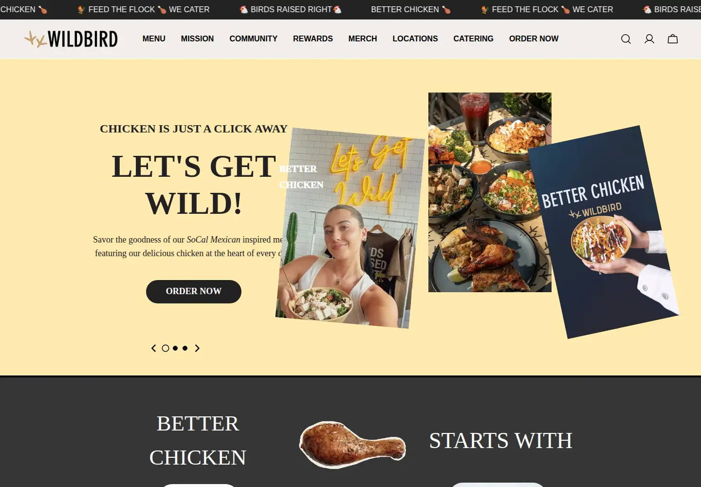 Screenshot of eatwildbird.com