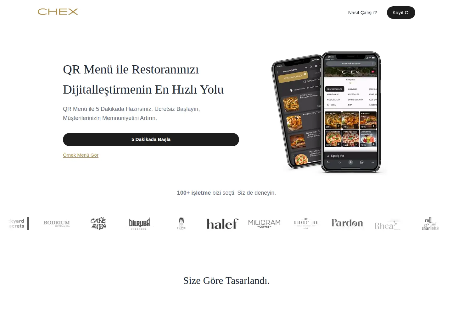Captured homepage of chex.com.tr in the current scan