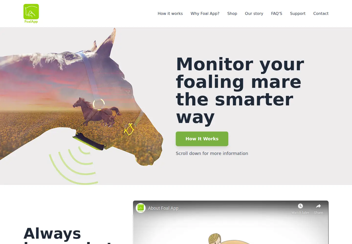 Captured homepage of foalapp.com in the current scan