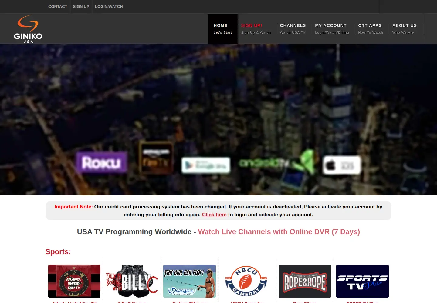 Screenshot of ginikousa.com