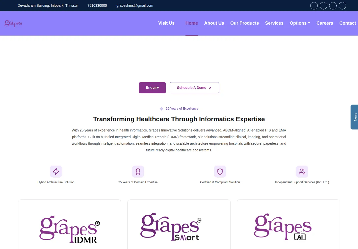 Captured homepage of grapeshms.com in the current scan
