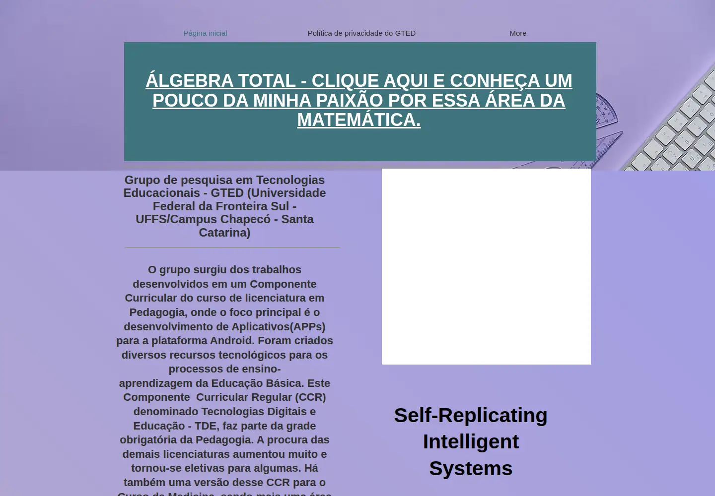 Captured homepage of gted-uffs.com in the current scan
