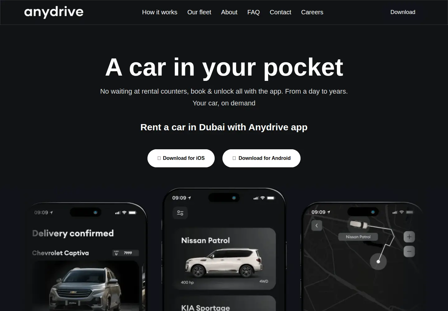 Screenshot of anydrive.ae