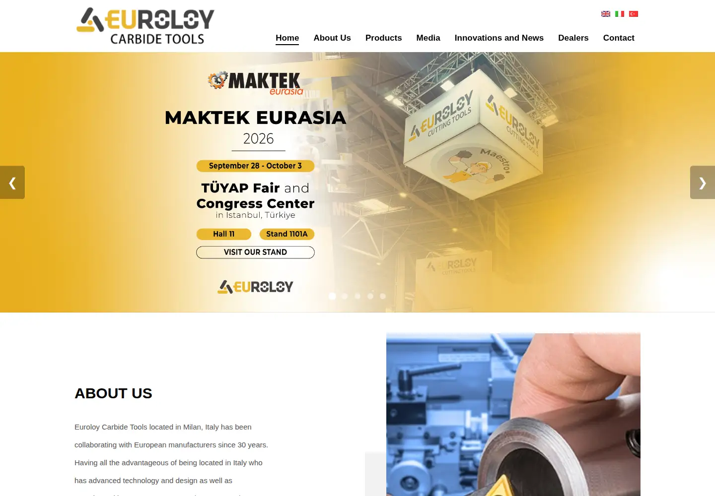 Captured homepage of euroloy.com in the current scan