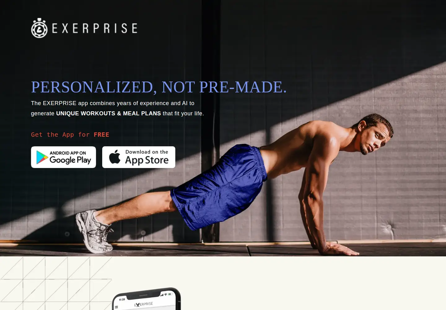Captured homepage of exerprise.com in the current scan