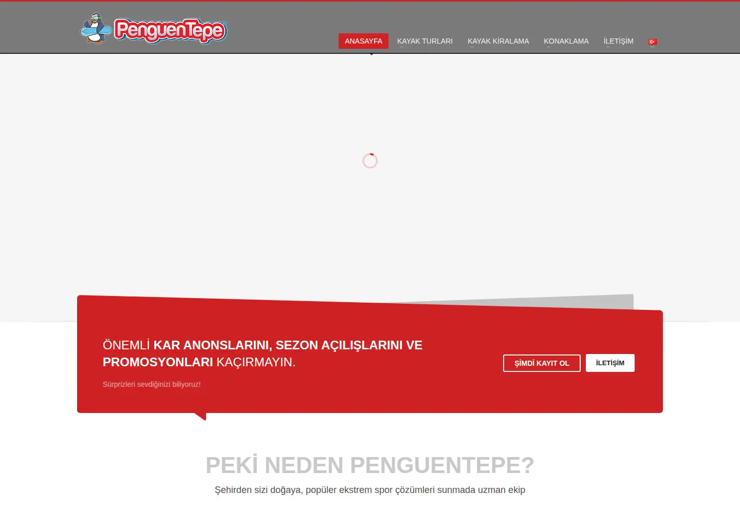 Captured homepage of penguentepe.com in the current scan
