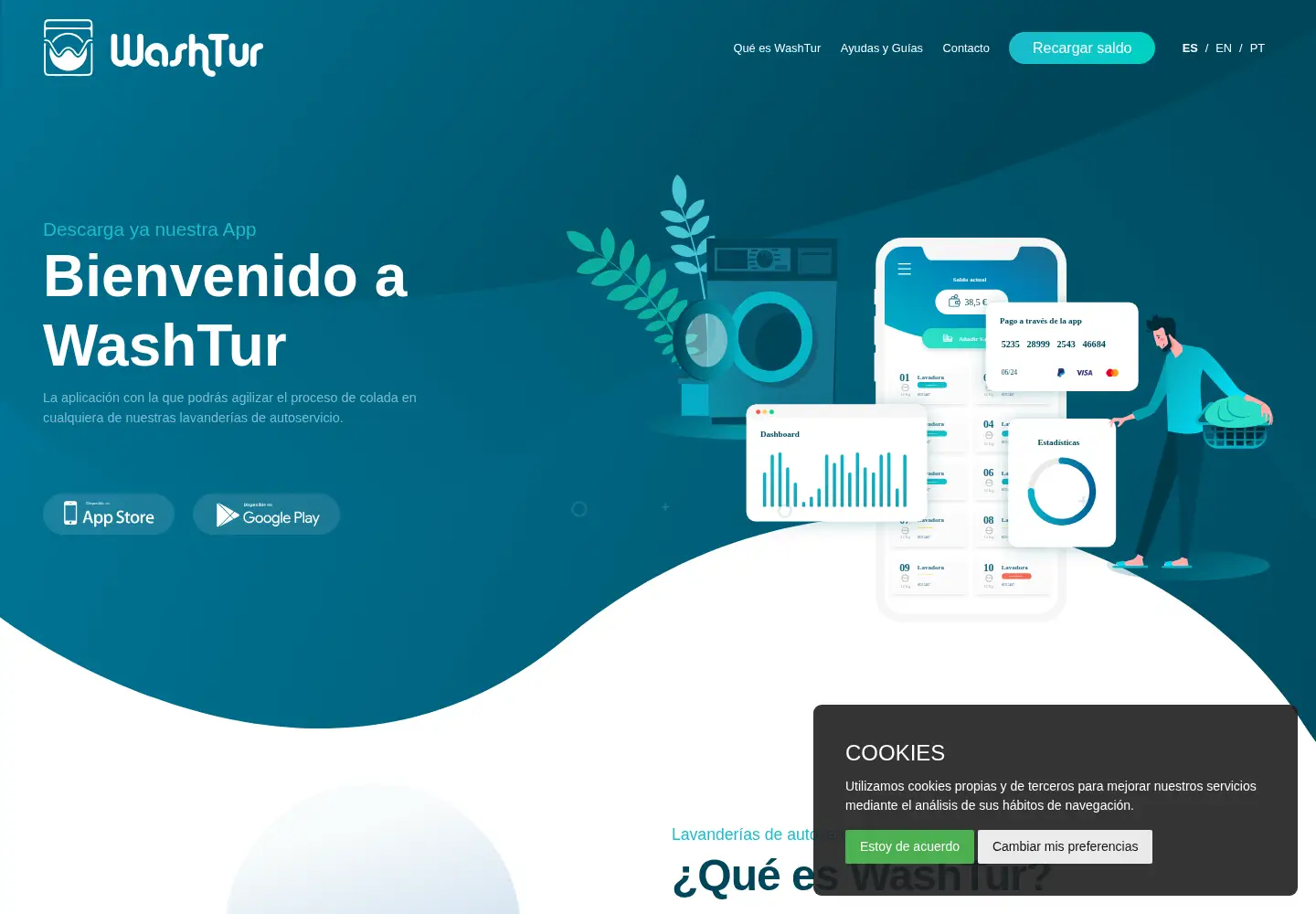 Screenshot of washtur.com