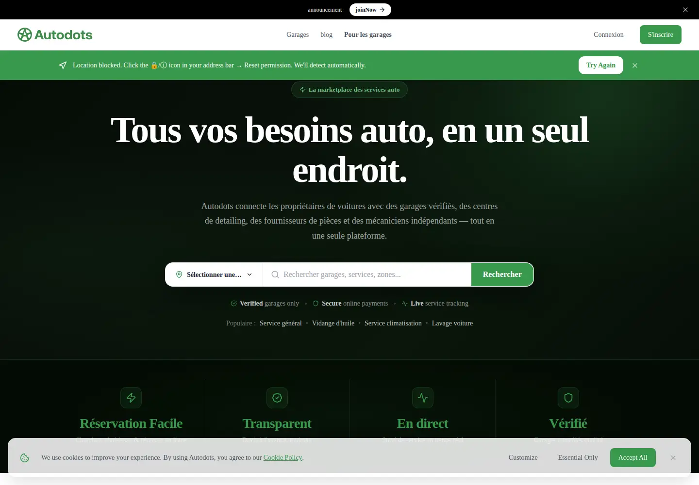 Captured homepage of autodots.io in the current scan