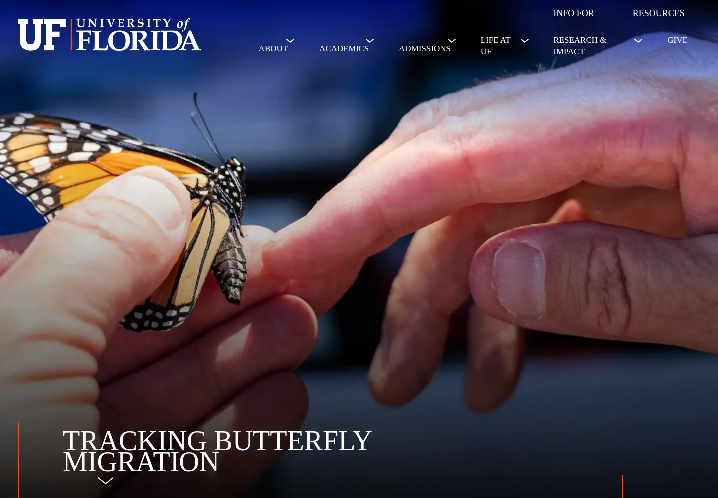 Screenshot of ufl.edu