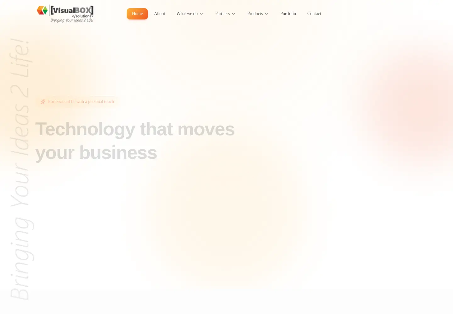 Captured homepage of visualboxsolutions.com in the current scan