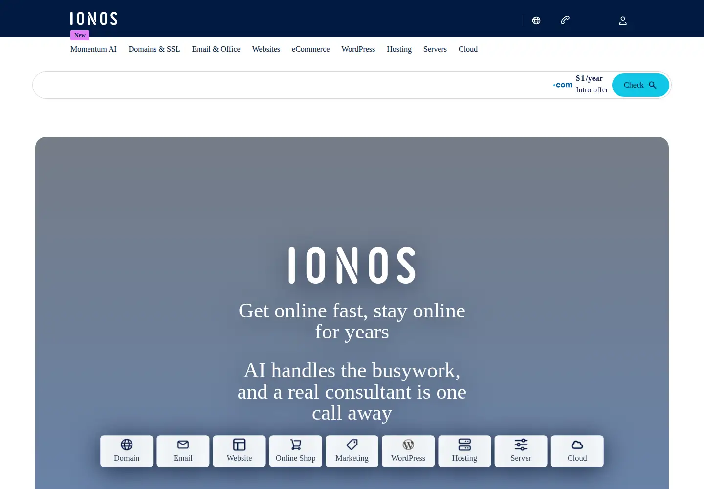 Screenshot of 1and1.com