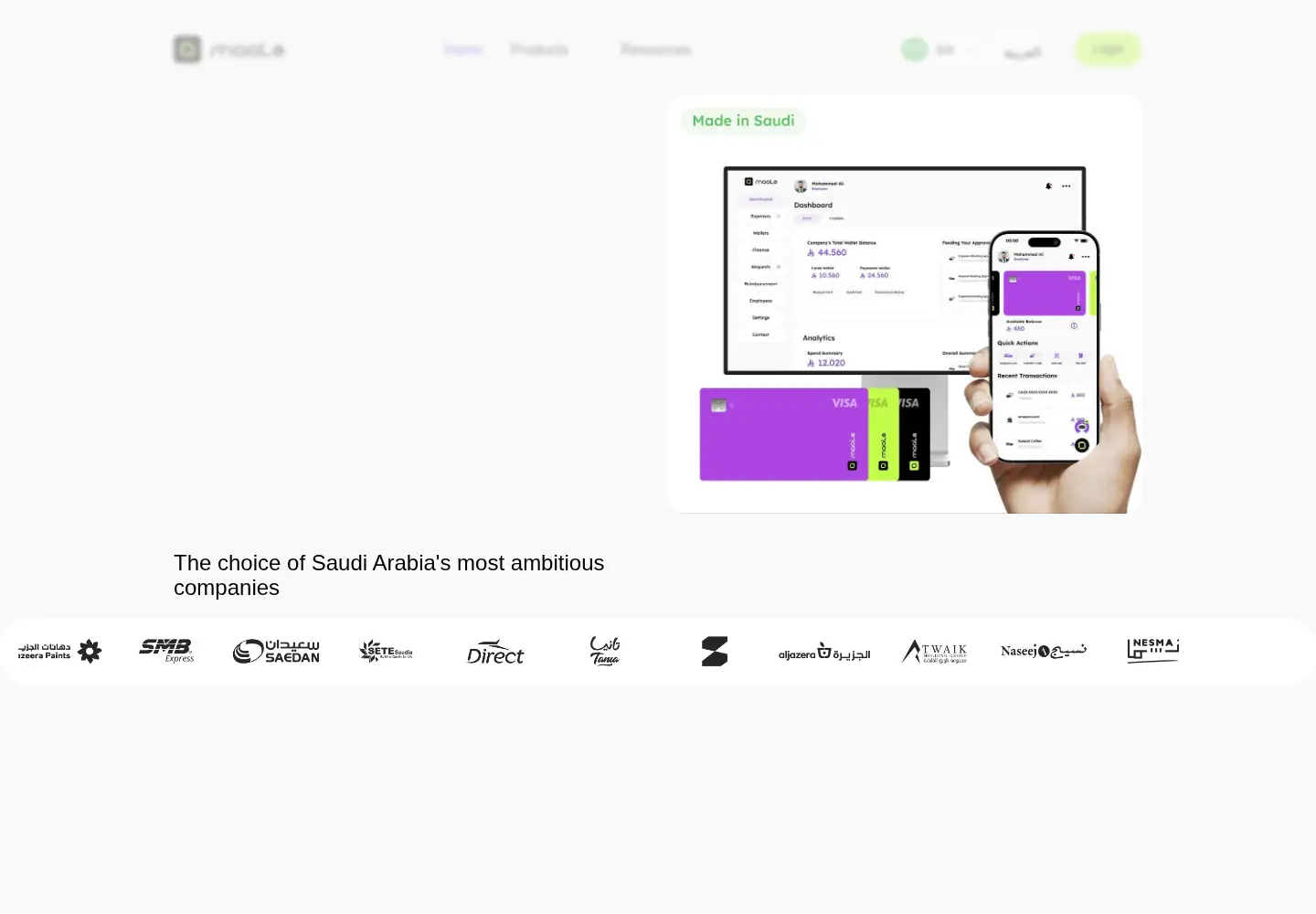 Captured homepage of moolapay.io in the current scan