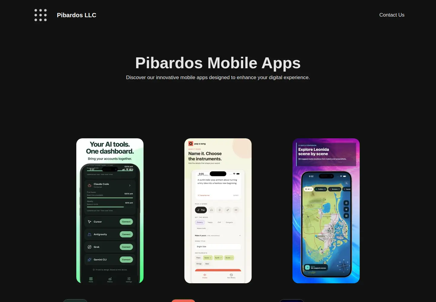 Captured homepage of pibardos.llc in the current scan