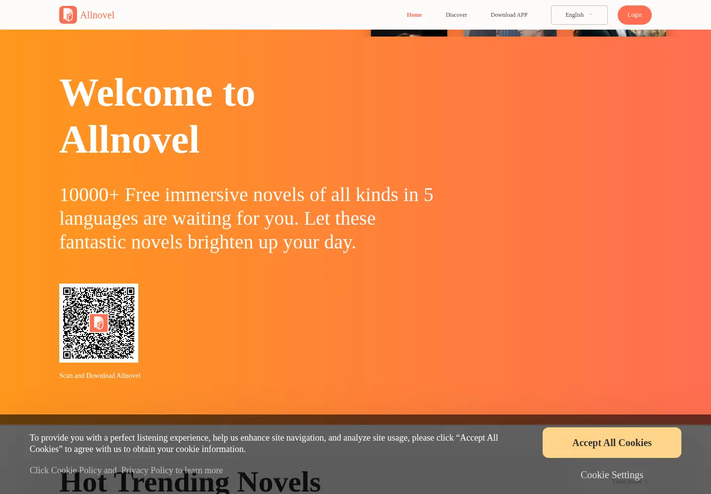 Captured homepage of allnovel.ltd in the current scan