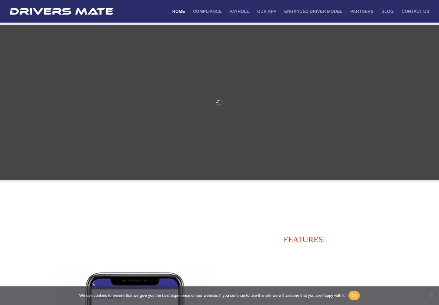 Screenshot of driversmate.net