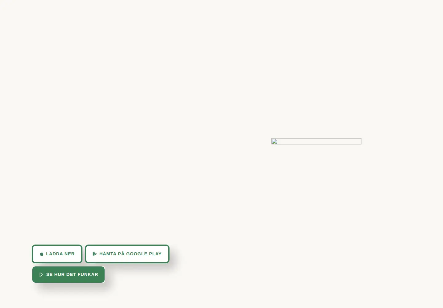 Captured homepage of matdags.se in the current scan